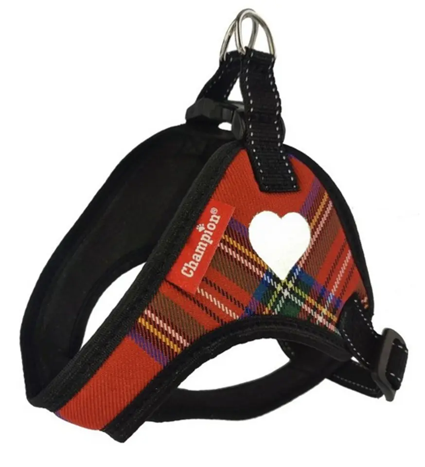 ⁨Champion Braces tape 40 comfort [TSZ]⁩ at Wasserman.eu