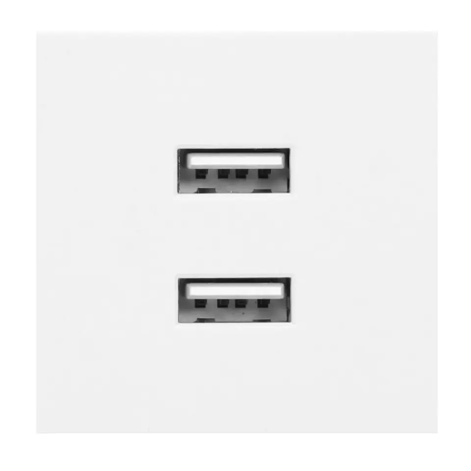⁨NOEN USB x 2, dual modular port 45x45mm with USB charger, 2.1A 5V DC, white⁩ at Wasserman.eu