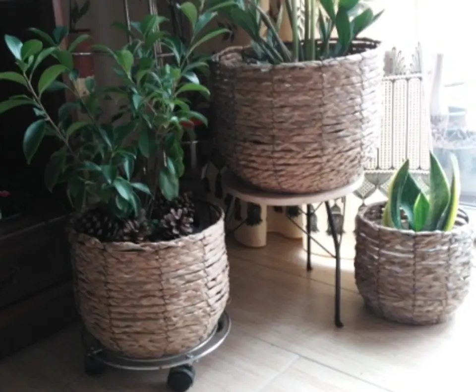 ⁨Baskets pots decorative potted casings set of 3 pcs⁩ at Wasserman.eu