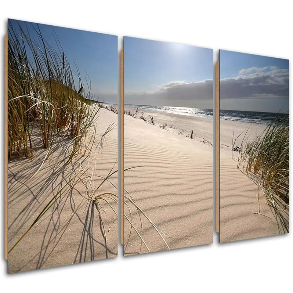 ⁨Obraz trzyczęściowy Deco Panel, Wydmy na plaży (Rozmiar 120x80)⁩ w sklepie Wasserman.eu