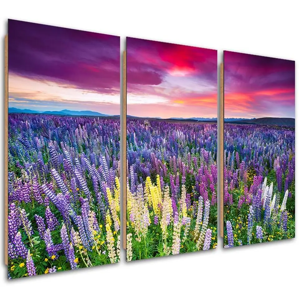 ⁨Obraz trzyczęściowy Deco Panel, Łąka w kwiatach (Rozmiar 60x40)⁩ w sklepie Wasserman.eu