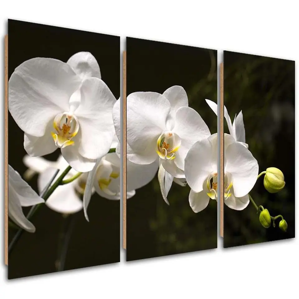 ⁨Obraz trzyczęściowy Deco Panel, Biała orchidea na czarnym tle (Rozmiar 120x80)⁩ w sklepie Wasserman.eu