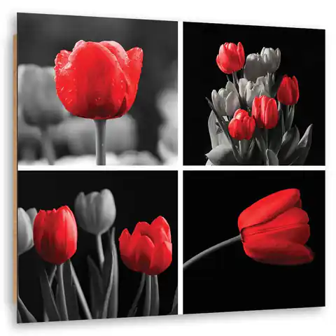 ⁨Obraz Deco Panel, Zestaw czerwonych tulipanów (Rozmiar 40x40)⁩ w sklepie Wasserman.eu