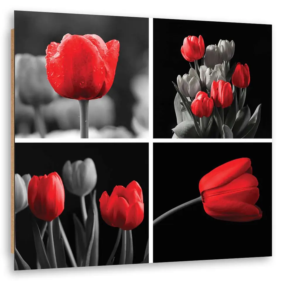 ⁨Obraz Deco Panel, Zestaw czerwonych tulipanów (Rozmiar 30x30)⁩ w sklepie Wasserman.eu