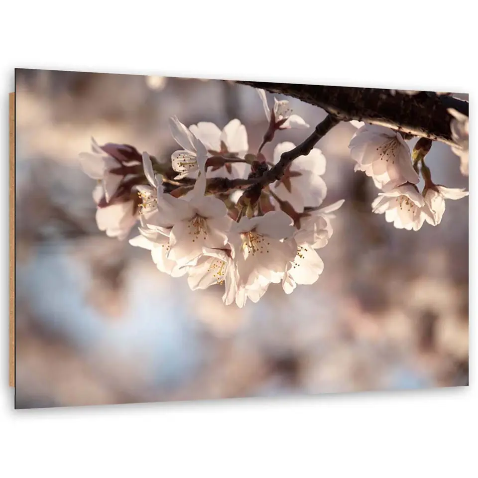 ⁨Obraz Deco Panel, Kwitnąca wiśnia (Rozmiar 100x70)⁩ w sklepie Wasserman.eu