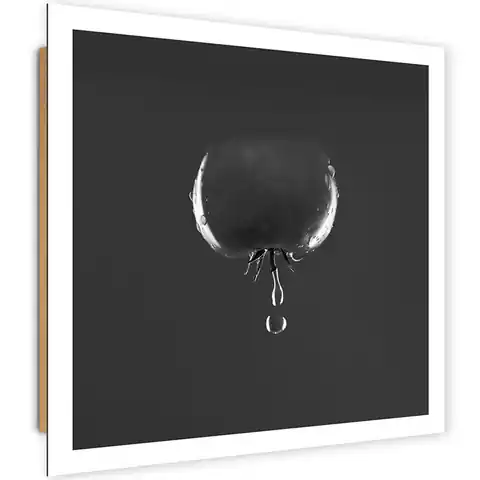 ⁨Obraz Deco Panel, Pomidor i krople wody - czarno-białe (Rozmiar 40x40)⁩ w sklepie Wasserman.eu
