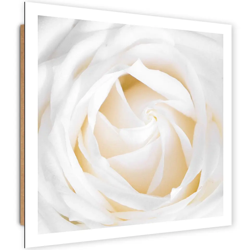 ⁨Obraz Deco Panel, Delikatna róża (Rozmiar 30x30)⁩ w sklepie Wasserman.eu