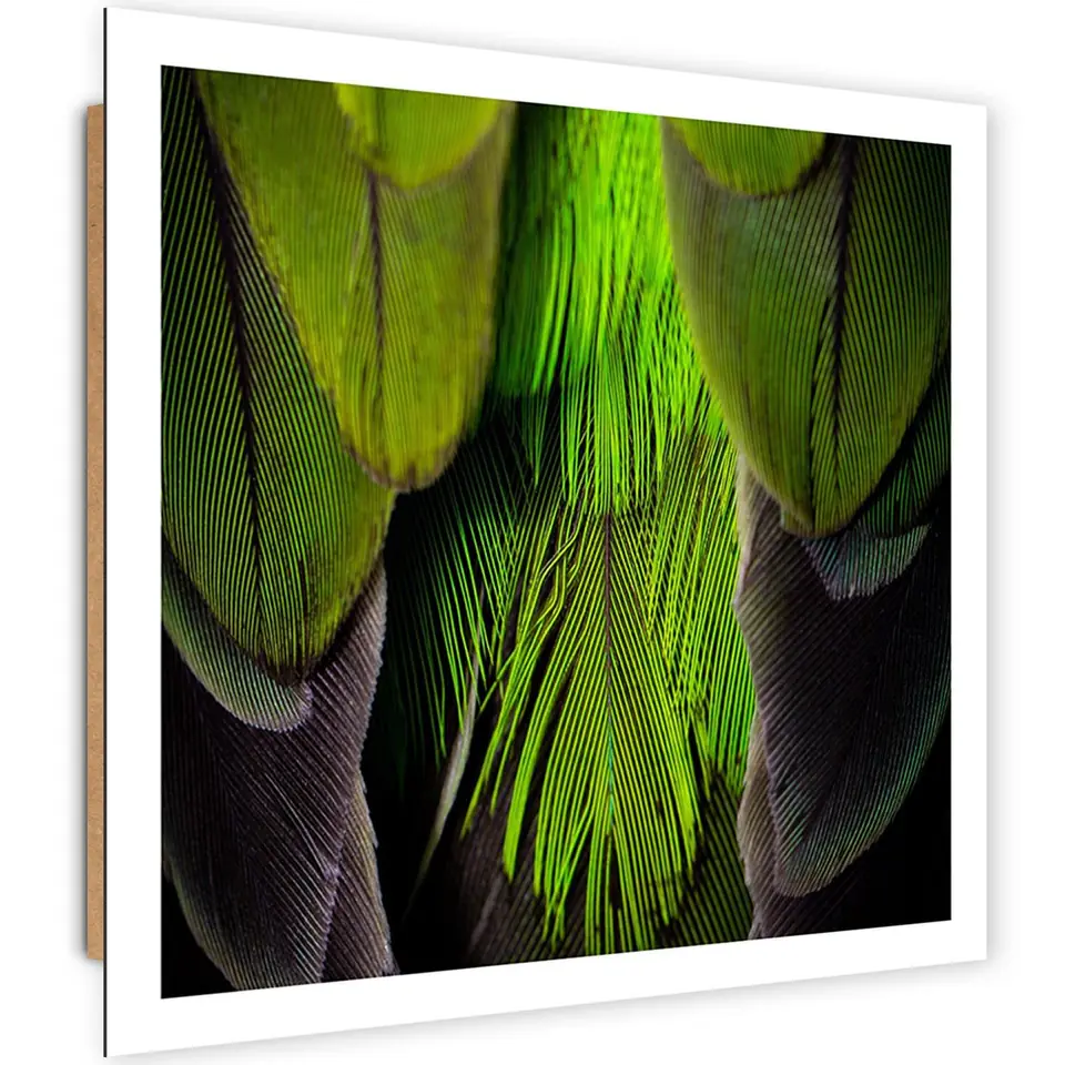 ⁨Obraz Deco Panel, Pióra w kolorze limonki (Rozmiar 30x30)⁩ w sklepie Wasserman.eu