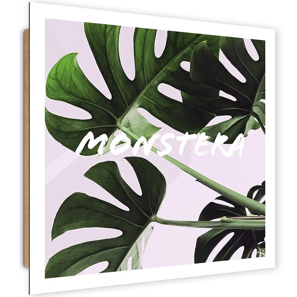 ⁨Obraz Deco Panel, Egzotyczne liście - monstera (Rozmiar 30x30)⁩ w sklepie Wasserman.eu