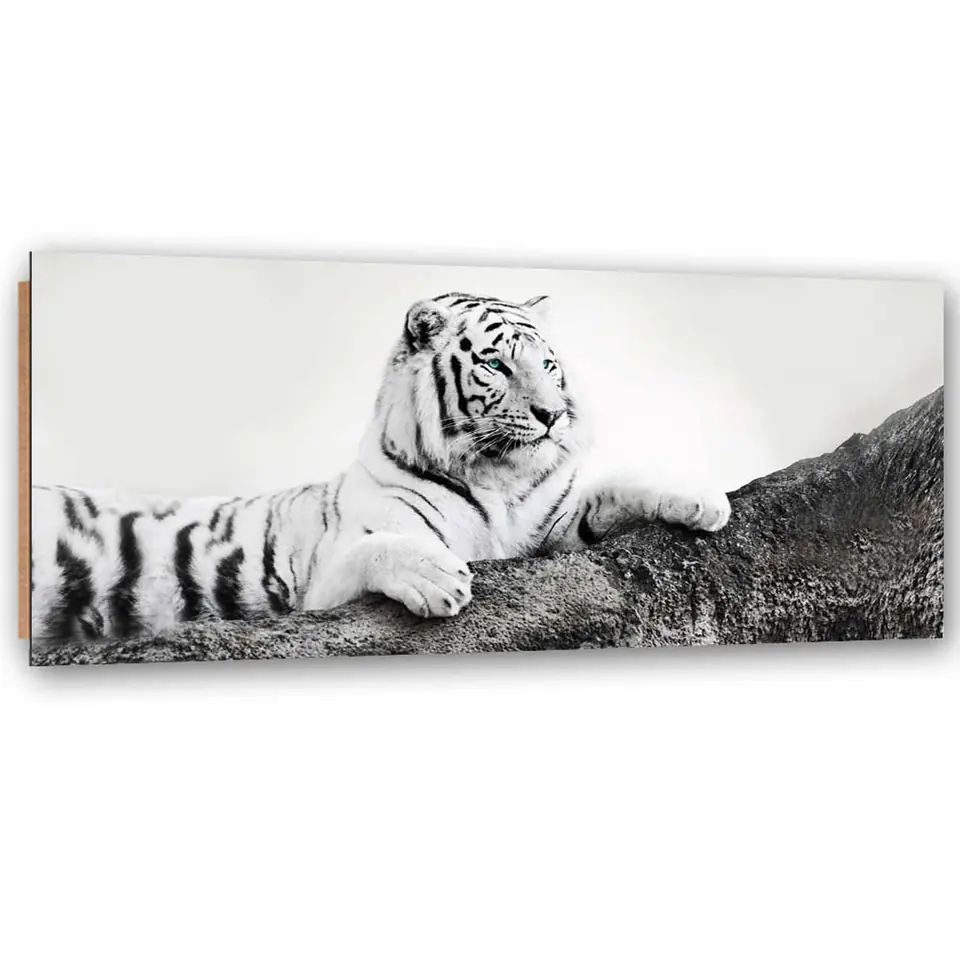 ⁨Obraz Deco Panel, Czuwający tygrys (Rozmiar 120x40)⁩ w sklepie Wasserman.eu
