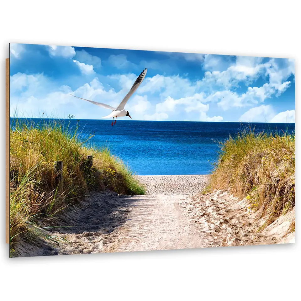 ⁨Obraz Deco Panel, Ścieżka na plażę i mewa (Rozmiar 100x70)⁩ w sklepie Wasserman.eu