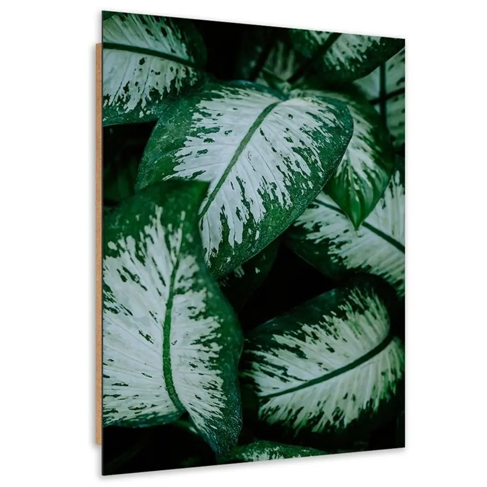 ⁨Obraz Deco Panel, Tropikalne liście biało zielone (Rozmiar 40x60)⁩ w sklepie Wasserman.eu