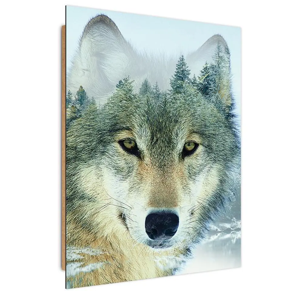 ⁨Obraz Deco Panel, Wilk na tle lasu (Rozmiar 40x60)⁩ w sklepie Wasserman.eu