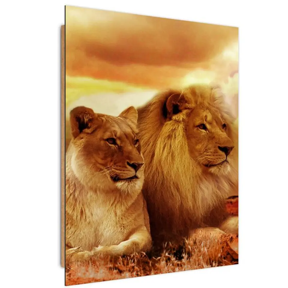 ⁨Obraz Deco Panel, Król lew i lwica (Rozmiar 40x60)⁩ w sklepie Wasserman.eu