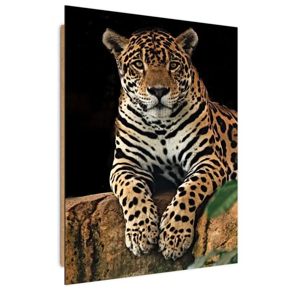 ⁨Obraz Deco Panel, Odpoczywający lampart (Rozmiar 40x60)⁩ w sklepie Wasserman.eu