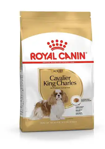 ⁨ROYAL CANIN BHN Cavalier King Charles Spaniel Adult - sucha karma dla psa dorosłego - 1,5kg⁩ w sklepie Wasserman.eu