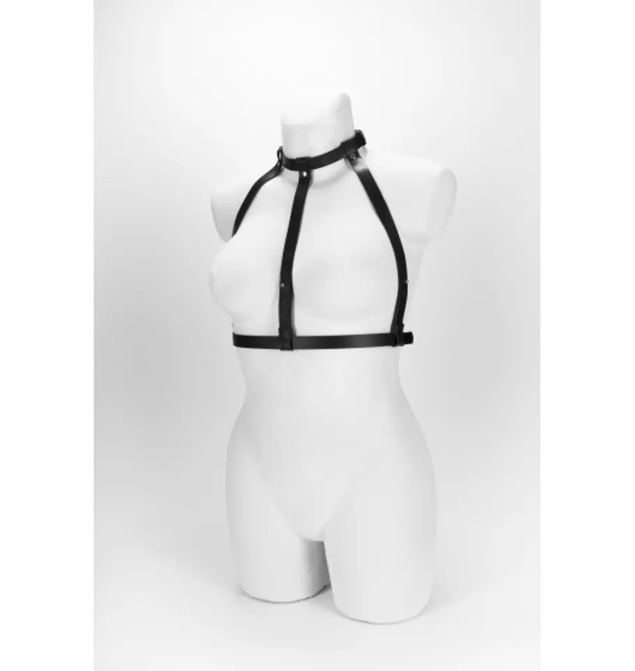 ⁨Whips Female Harness no 5⁩ at Wasserman.eu