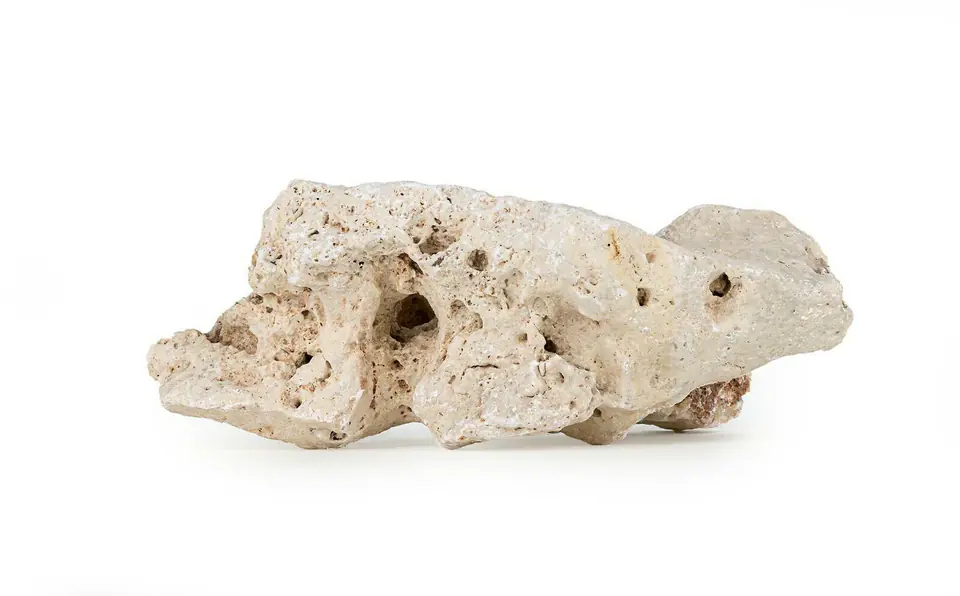 Wapień drążony 8-14 cm sztuka w sklepie Wasserman.eu