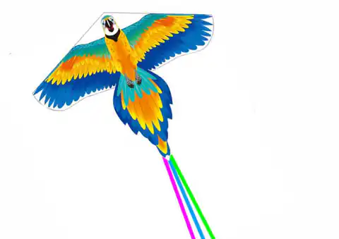 ⁨Duży Latawiec Ptak Długi Ogon Wstążki Kolorowy Papuga 250cm x 140cm⁩ w sklepie Wasserman.eu