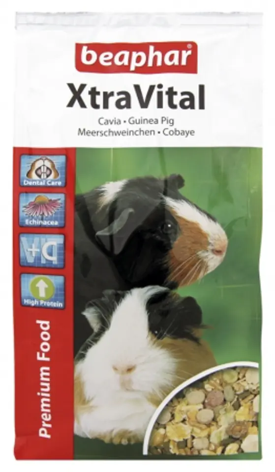 ⁨BEAPHAR XTR GUINEA PIG 1KG - karma dla świnek morskich⁩ w sklepie Wasserman.eu