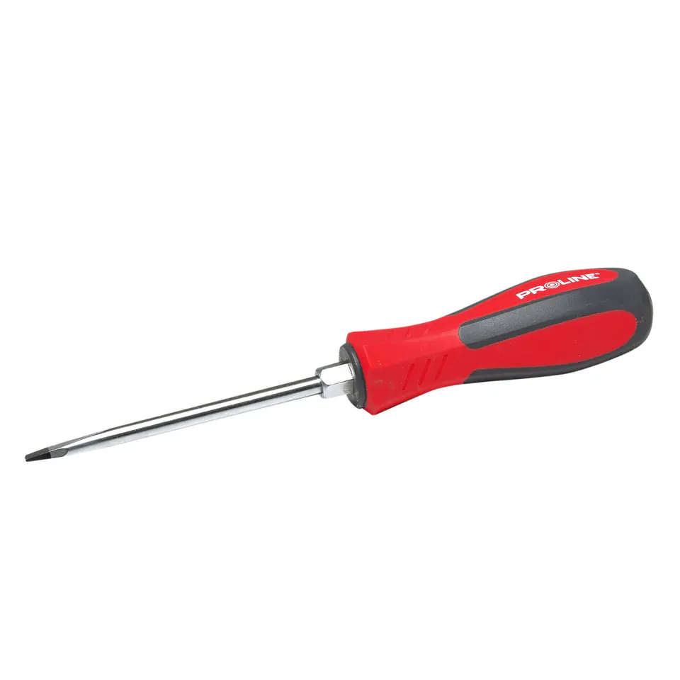 ⁨Beating screwdriver flat 6 x 150mm crv proline⁩ at Wasserman.eu