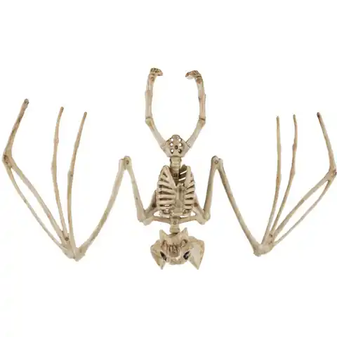⁨Szkielet nietoperza- dekoracja 30cm Malatec 22005⁩ w sklepie Wasserman.eu