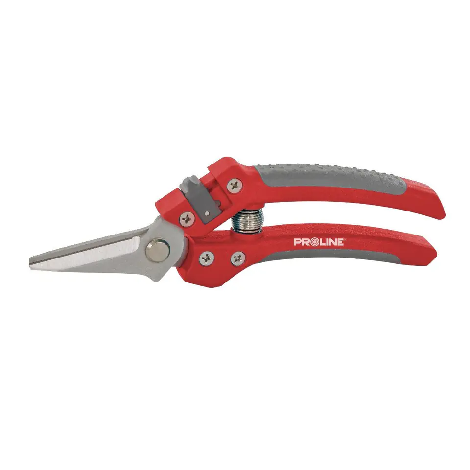Pflaume für Premiumblüten, Inox, 8", Soft Touch, Prolin im Wasserman.eu