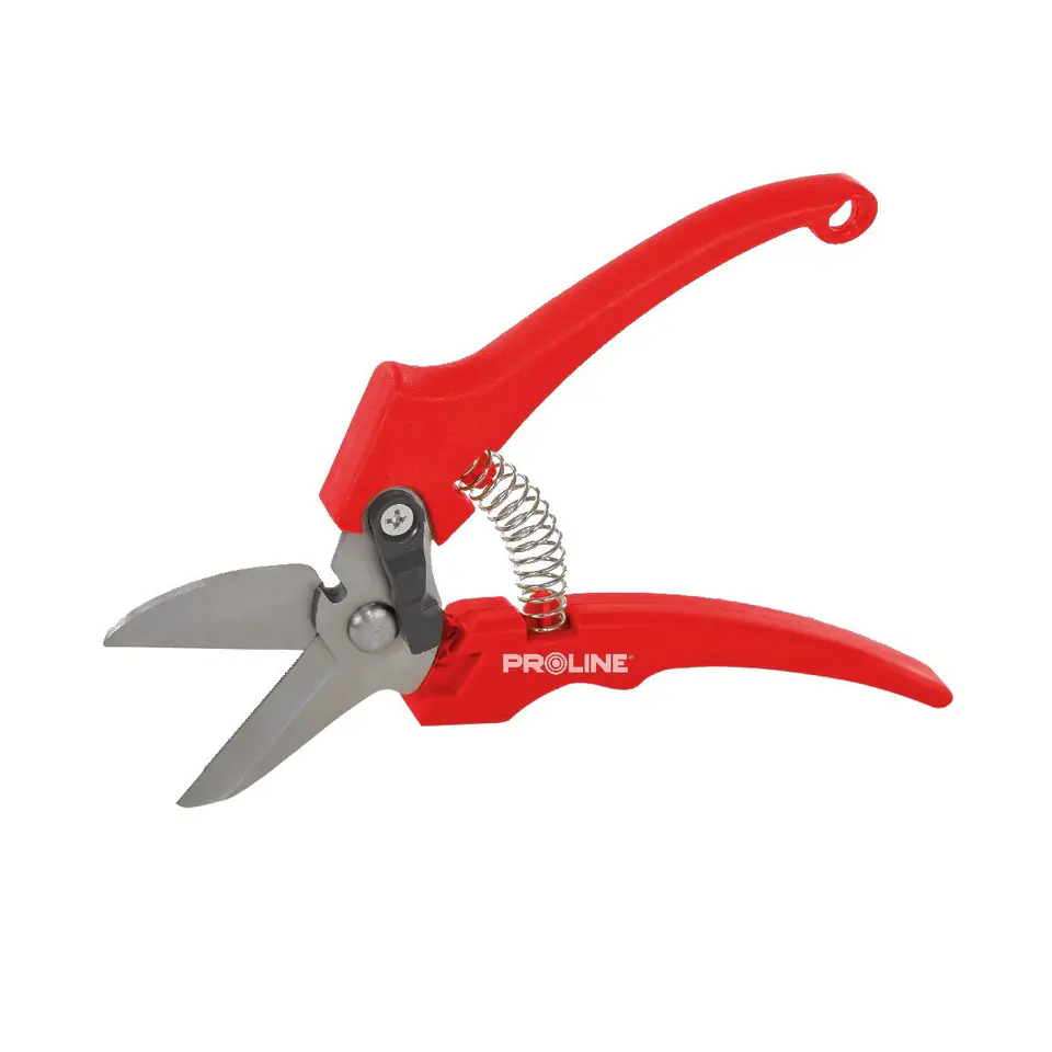 ⁨PREMIUM HAND PRUNER FOR FLOWERS, INOX, 8", PROLINE⁩ at Wasserman.eu