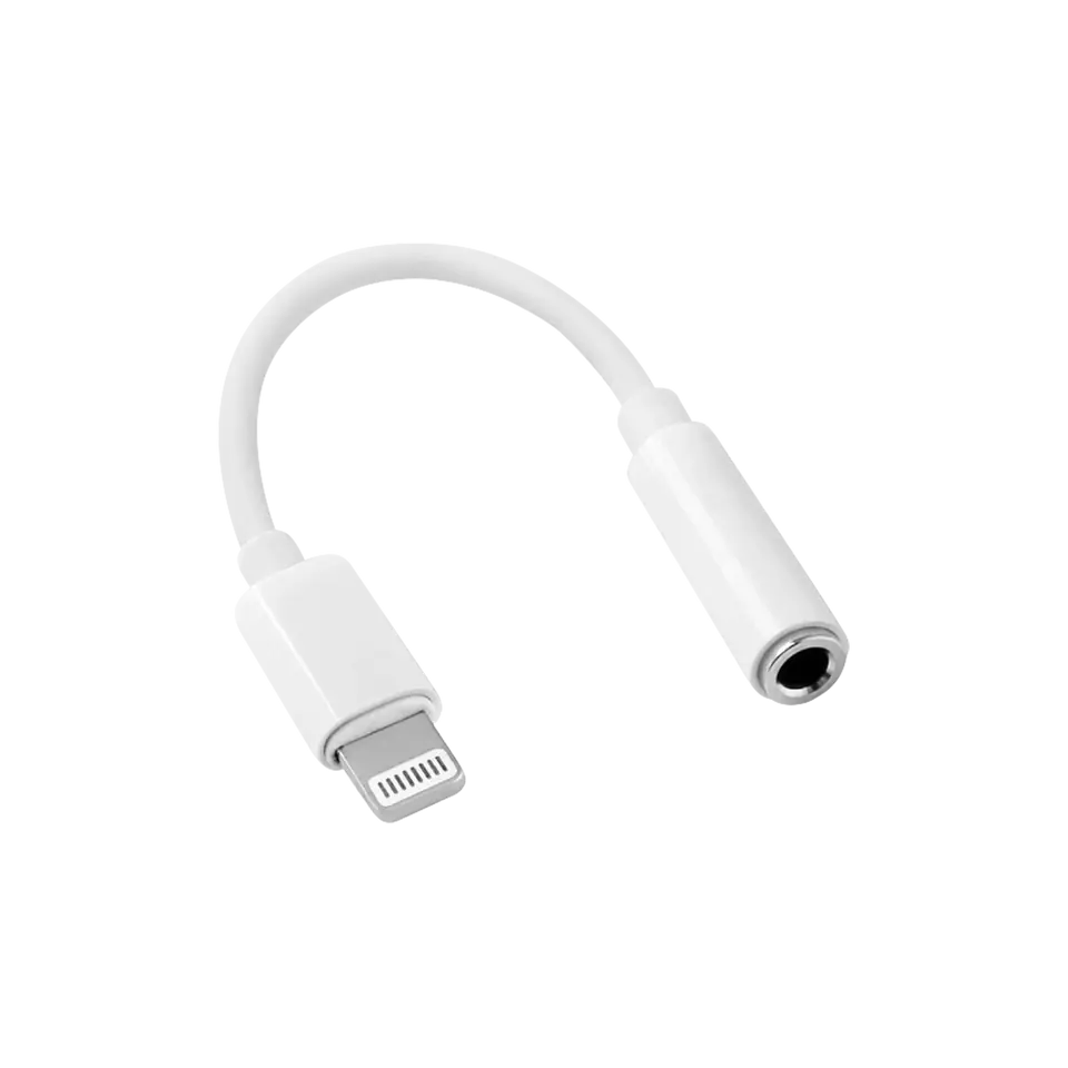 Adapter przejściówka micro USB - Lightning at Wasserman.eu