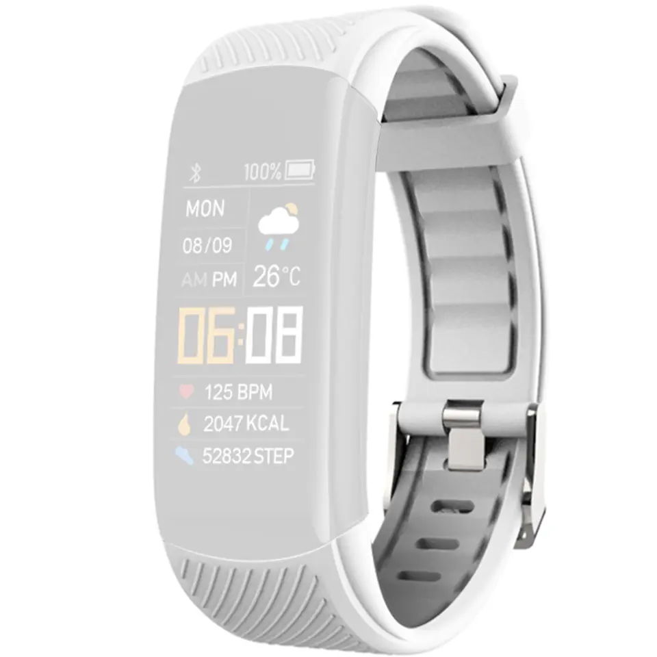 ⁨Pasek GIEWONT Fit&GO do GW200 GWP200-2 - White Ice⁩ w sklepie Wasserman.eu