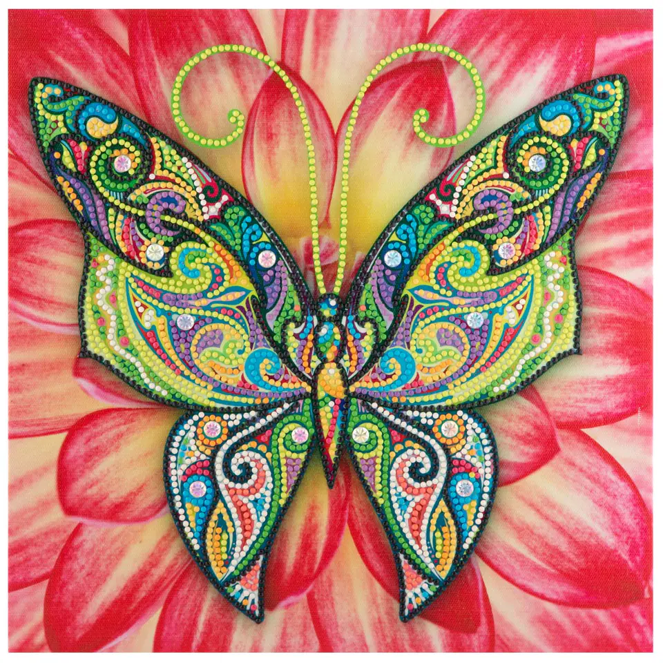 Diamentowy obraz na płótnie Motyl 30 x 30 cm w sklepie Wasserman.eu
