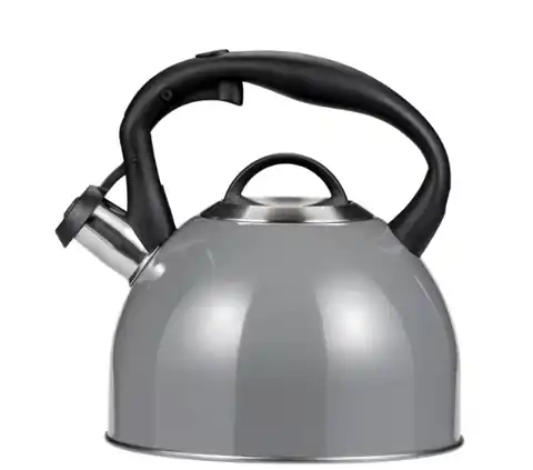⁨Electric kettle Smile MCN-13/S 3l grey⁩ at Wasserman.eu