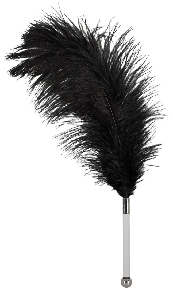 ⁨Acrylic black feather Bad Kitty⁩ at Wasserman.eu