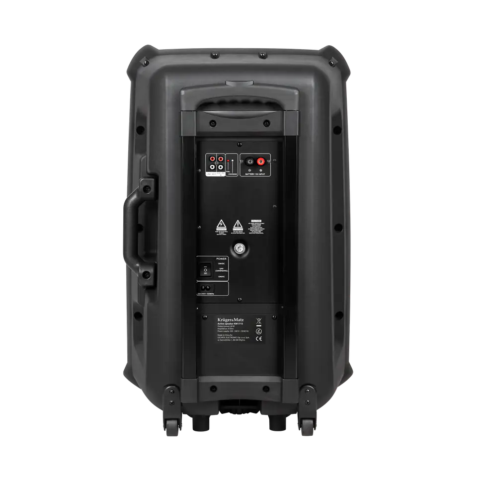 Active loudspeaker (with 2 wireless microphones UHF, SD, Bluetooth, FM, USB) 60 Watt at Wasserman.eu
