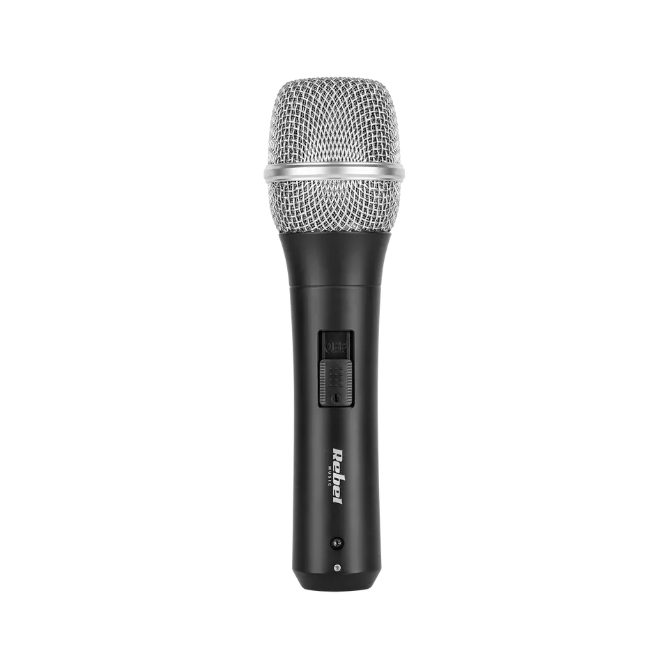 ⁨Professional Microphone K-200⁩ at Wasserman.eu