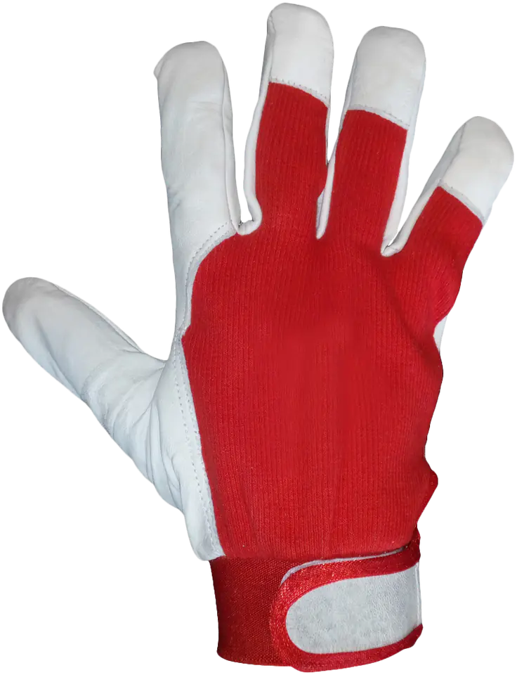 GLOVES GOAT LEATHER RLEVEREST/RIVER INSULATED SIZE 9 at Wasserman.eu