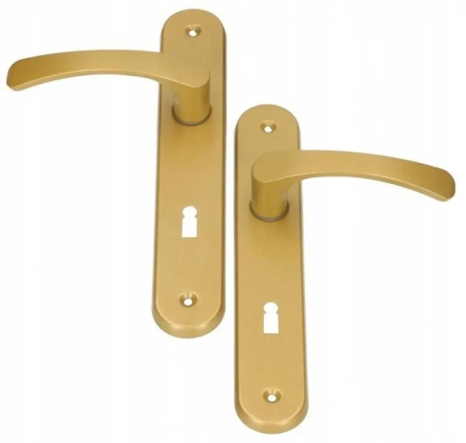 ⁨PAINTED HANDLE GOLD 90MM FOR KEY⁩ at Wasserman.eu