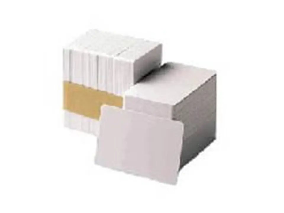 ⁨Zebra PVC, White Cards, 500 cards⁩ w sklepie Wasserman.eu