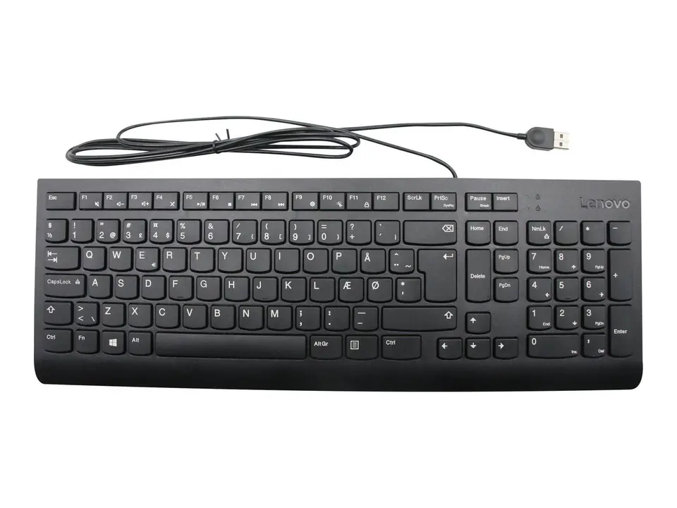 ⁨Lenovo Keyboard USB KB BK DEN⁩ w sklepie Wasserman.eu