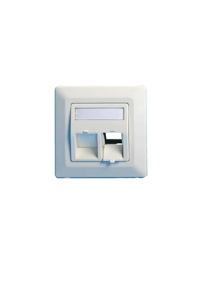 ⁨Lanview Wall plate, angled, double⁩ w sklepie Wasserman.eu