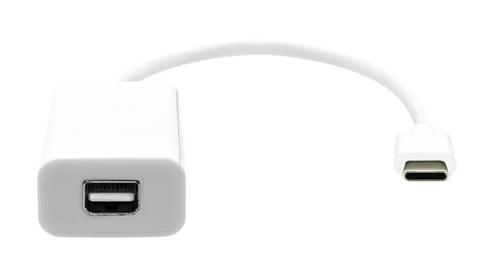 ProXtend USB-C to Mini DP 20cm white w sklepie Wasserman.eu