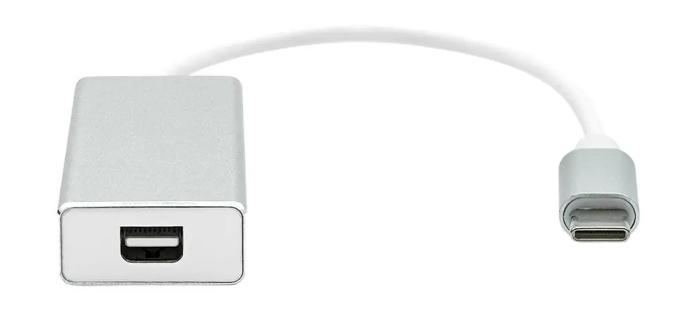 ProXtend USB-C to Mini DP 20cm silver w sklepie Wasserman.eu