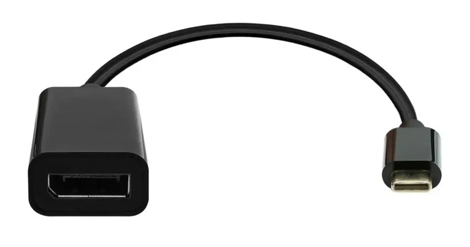 ⁨ProXtend USB-C to DisplayPort adapter⁩ w sklepie Wasserman.eu