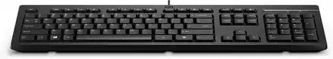 ⁨HP 125 Wired Keyboard Spanish⁩ w sklepie Wasserman.eu