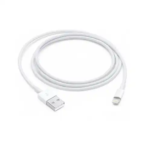 ⁨Apple Lightning to USB Cable⁩ w sklepie Wasserman.eu