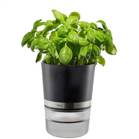 ⁨GEFU BOTANICO Herb pot Freestanding Plastic, Stainless steel Black⁩ at Wasserman.eu