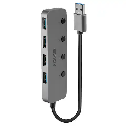 ⁨Lindy 4 Port USB 3.0 Hub with⁩ w sklepie Wasserman.eu