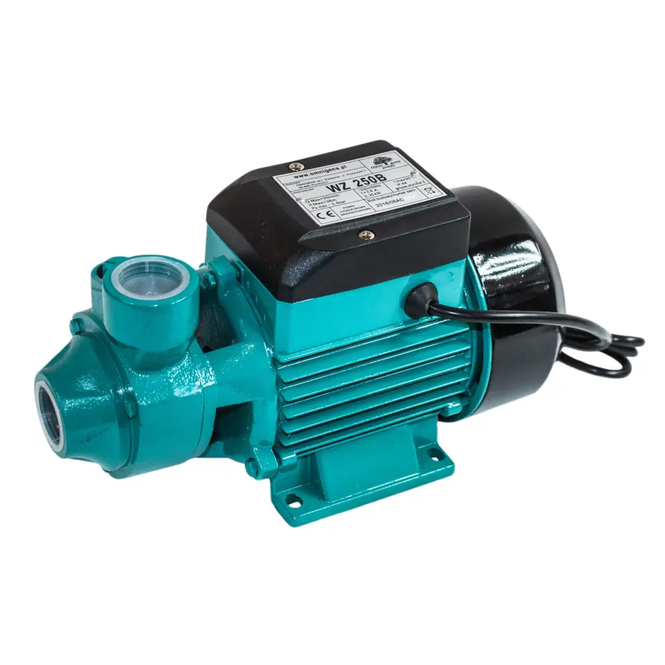 ⁨POMPA HYDROFOROWA WZ 250 B⁩ w sklepie Wasserman.eu