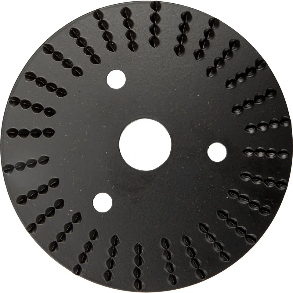 ⁨RASP DISC FLAT 125MM PROLINE⁩ at Wasserman.eu