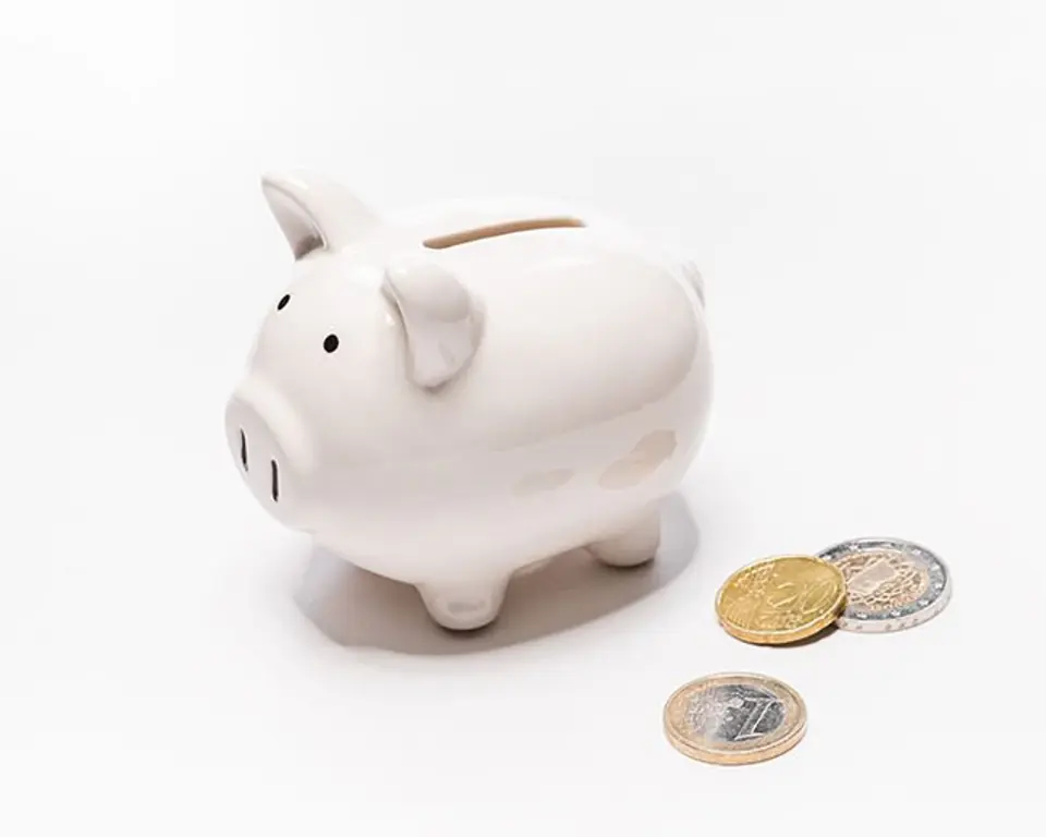 ⁨Piggy bank piggy bank⁩ at Wasserman.eu